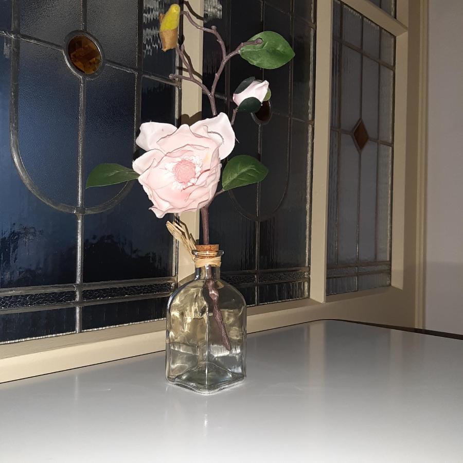 Apartman U Javoru Varnsdorf Bagian luar foto