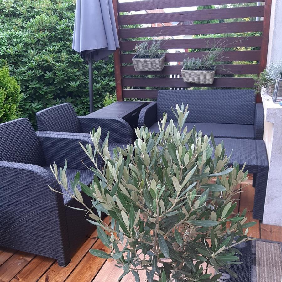 Apartman U Javoru Varnsdorf Bagian luar foto