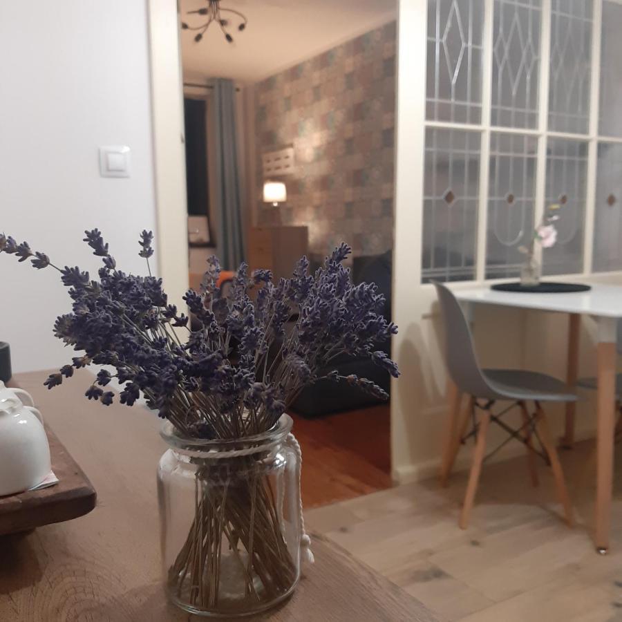 Apartman U Javoru Varnsdorf Bagian luar foto